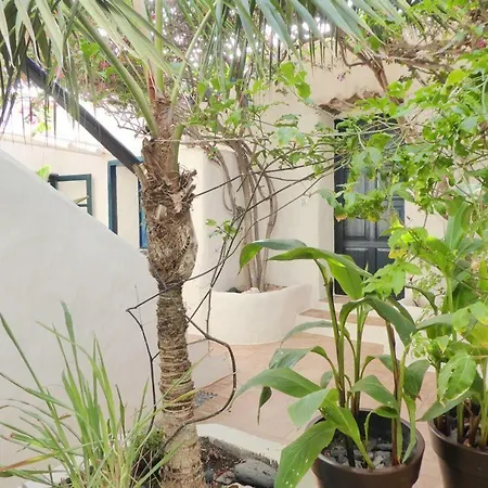 El Patio *